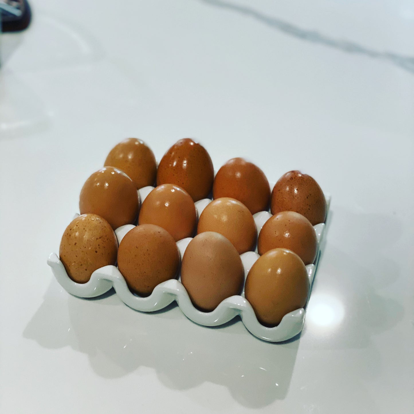 Barnyard Mixed Hatching Eggs